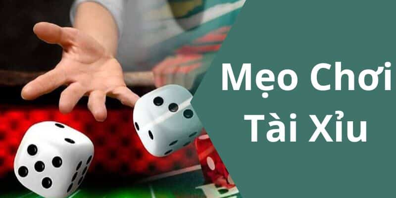 Kinh nghiệm chơi tài xỉu tại Nohu90 luôn thắng