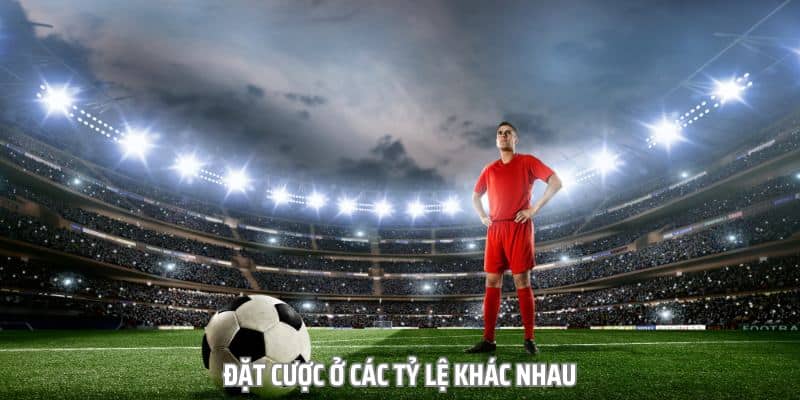 Kinh nghiệm soi kèo luân lưu cực chuẩn từ cao thủ